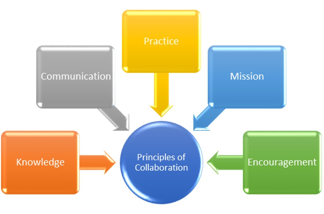 Collaboration Principles and Process